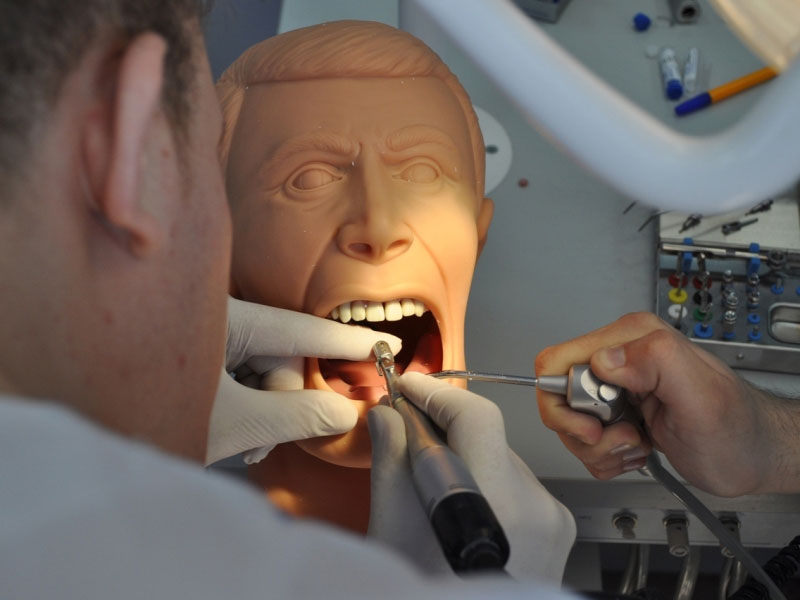 Стоматологічні фантоми: де придбати якісне устаткування для стоматологів